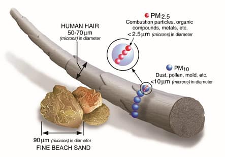 PM 2.5 air pollution particle size compared to a human hair
