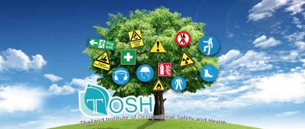 Thai Occupational Safety and Health